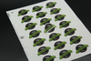 Coated Paper Self-adhesive Label